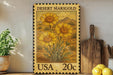 A framed print of a desert marigold flower is displayed on a shelf, surrounded by kitchen utensils and a potted plant.