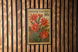 A vintage-style postage stamp featuring a vibrant illustration of red flowers on a cactus plant, mounted on a wooden wall.