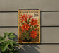 A postage stamp featuring an illustration of an Easter cactus plant with red flowers, mounted on a wall.