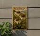 a vintage-style poster of three white swan flowers on a wall, with a plant in the foreground.