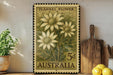A framed stamp depicting a floral design with three yellow flowers, placed on a shelf next to a wooden cutting board and a potted plant.