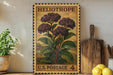 A vintage-style postage stamp featuring a purple heliotrope plant, placed on a wooden surface next to a wooden cutting board and a potted plant.