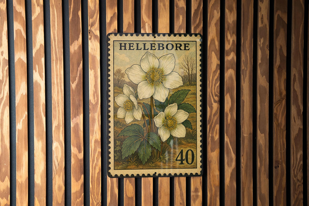 A vintage-style postage stamp from Hellebore, featuring a floral illustration of a white flower with green leaves, mounted on a wooden wall.