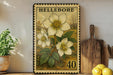 A framed print of a white flower with green leaves and the number 40 is displayed on a shelf, accompanied by a wooden cutting board, a potted plant, and some lemons.