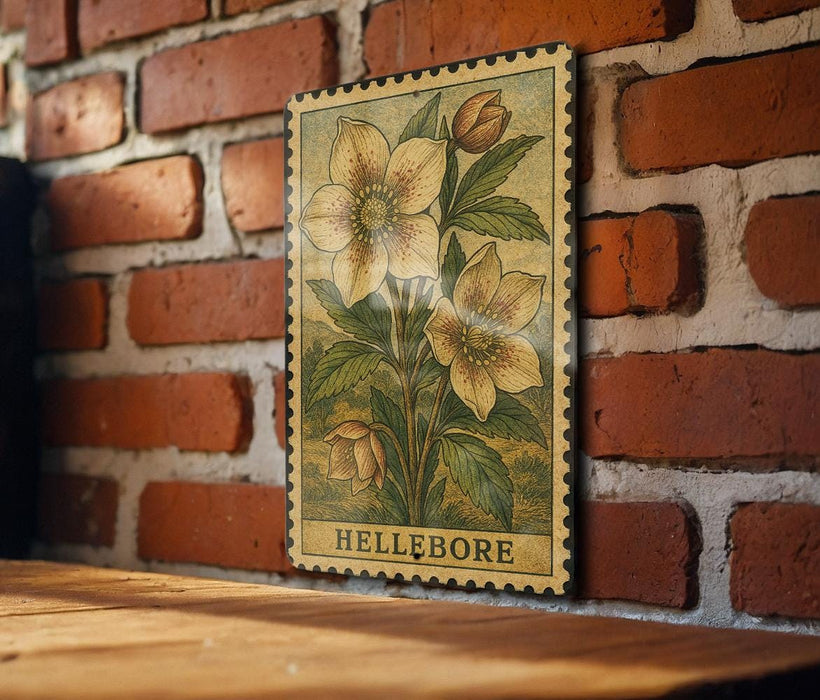 A framed illustration of a flower is hanging on a brick wall, with the word "HELLEREBORE" printed below it.