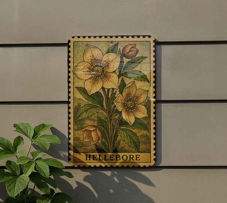 A framed illustration of a flower is hanging on a wall, with the word "Hellbore" written below it.