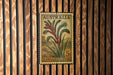 A 5d Australian postage stamp featuring a kangaroo paw plant is displayed on a wooden wall.