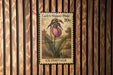 A vintage-style postage stamp featuring a pink flower, likely a lady's slipper, with the text "Lady's Slipper (PINK) 20c" printed on it. The stamp is mounted on a wooden wall.