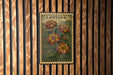 A framed vintage postage stamp featuring a floral illustration of Lantana flowers is displayed on a wooden wall.