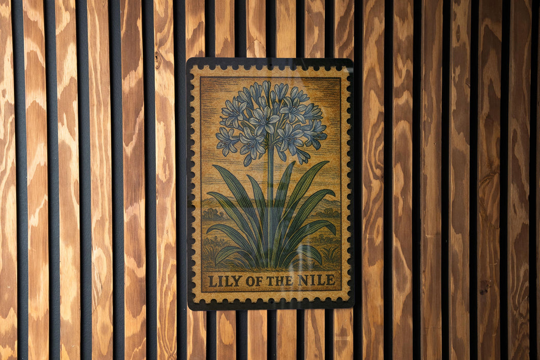 A framed illustration of a lily of the Nile flower is displayed on a wooden wall.