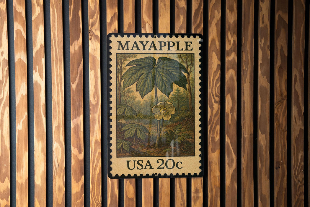 A framed image of a leafy plant, possibly a Mayapple, is displayed on a wooden wall.