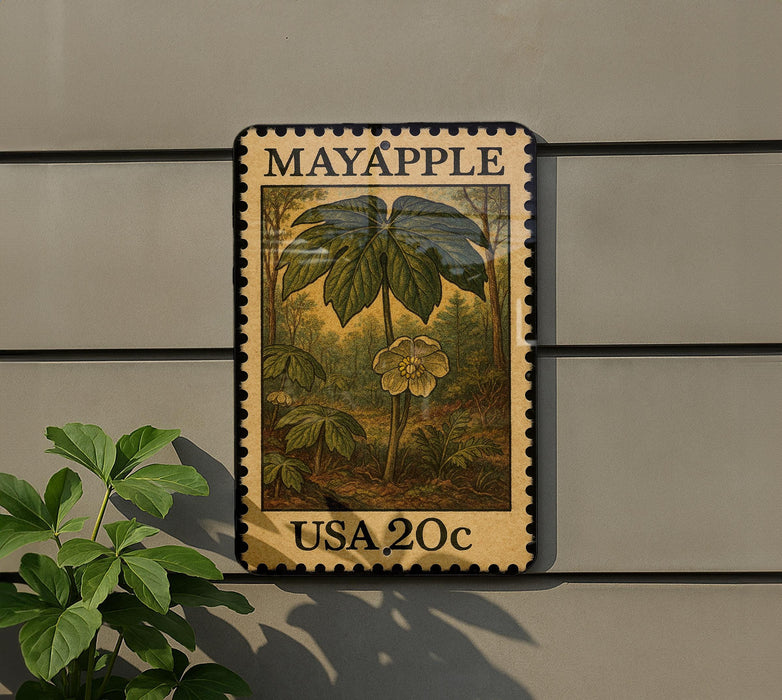 A framed image of a plant with a yellow flower, mounted on a wall.