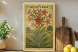 A framed botanical illustration of Nicotiana flowers is displayed on a shelf, accompanied by kitchen utensils and a potted plant.