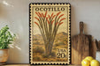 a framed stamp with a desert scene, a potted plant, and a wooden cutting board, all placed on a shelf.