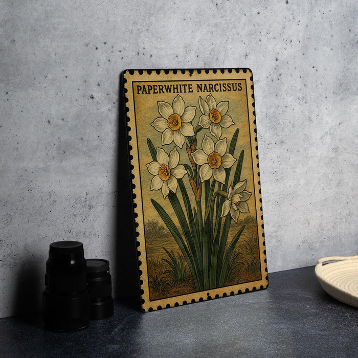 A framed illustration of a daffodil plant with the text "PAPERWHITE NARCISSUS" on it, placed on a gray countertop next to some black camera lenses.