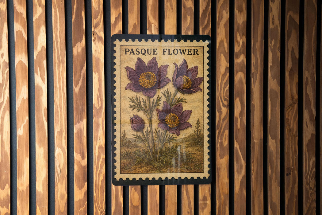A framed image of a pasque flower is hanging on a wooden wall.