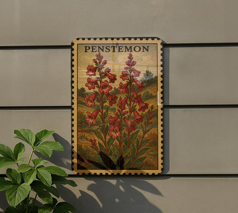 a framed illustration of a penstemon flower on a wall, with a plant to the left of the frame.