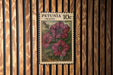 A 10c Petunia (wave) postage stamp is displayed on a wooden wall.