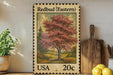 A framed stamp depicting a vibrant redbud tree, with a landscape in the background, is displayed on a shelf next to a wooden cutting board and some potted plants.