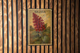 A framed illustration of a red flower is hanging on a wooden wall.