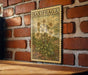 A framed illustration of a flower is hanging on a brick wall, with the word "SAXIFRAGA" printed on the frame.
