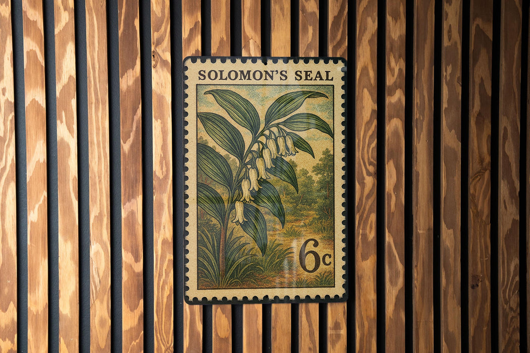 A vintage-style postage stamp from Solomon's Seal, featuring a lily of the valley plant, is displayed on a wooden wall.