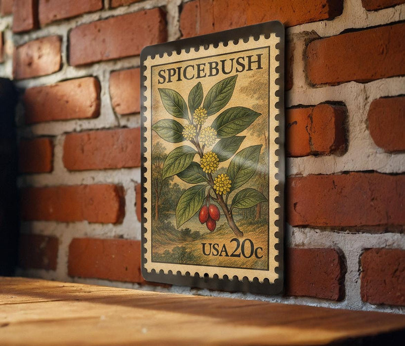 A vintage Spicebush postage stamp from the United States of America, valued at 20 cents, is displayed on a brick wall.