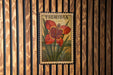 A vintage postage stamp featuring a large red flower with a yellow center, hanging on a wooden wall.
