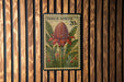 A 20 cent postage stamp featuring a large, vibrant red flower surrounded by green leaves.