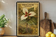 A framed stamp depicting a Trillium flower, which is a type of wildflower, is displayed on a shelf next to a wooden cutting board and some lemons.