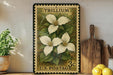 A vintage-style postage stamp featuring a white trillium flower, placed on a shelf next to a wooden cutting board and a potted plant.