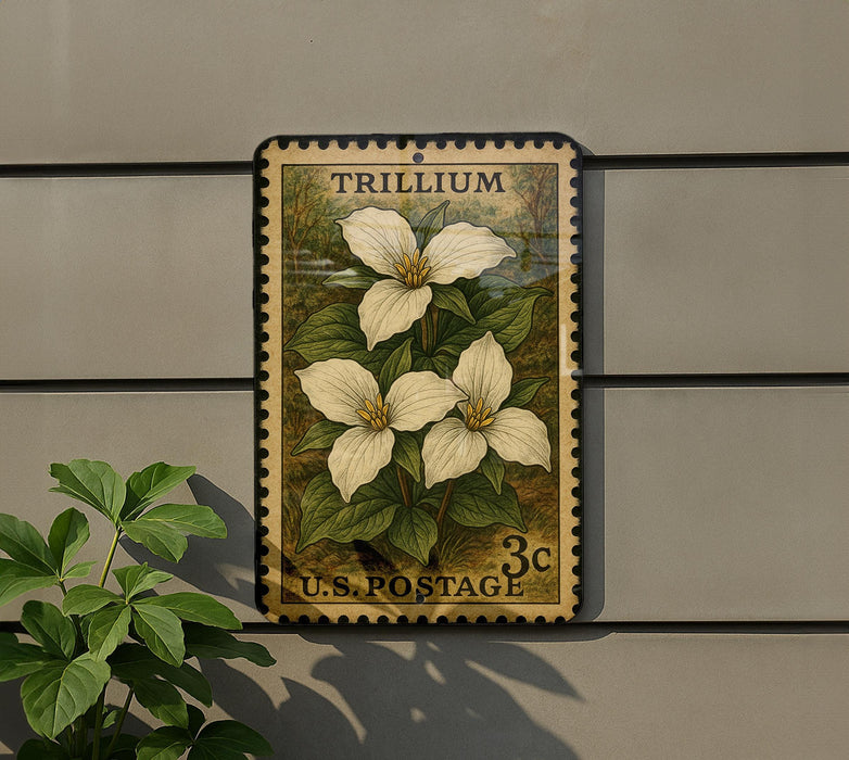 A vintage U.S. postage stamp featuring a trillium flower is mounted on a wall, with a plant to the left.