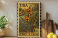 A framed postage stamp featuring a vibrant illustration of a lily flower, with the text "USA TROUT LILY" printed on it. The stamp is placed on a wooden surface, surrounded by various kitchen utensils and a potted plant.