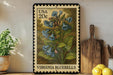 A framed vintage postage stamp from Virginia, featuring a detailed illustration of bluebell flowers, is displayed on a shelf next to a wooden cutting board and a potted plant.