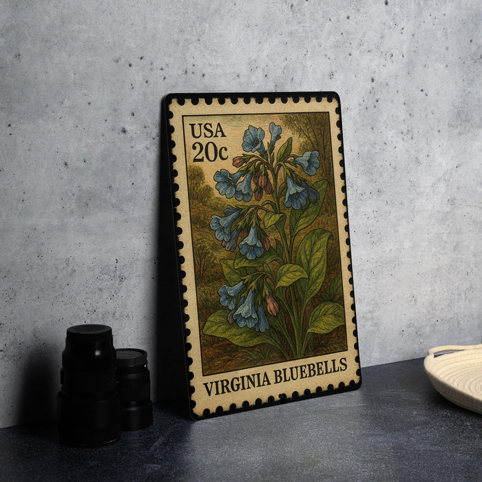 A framed vintage postage stamp from Virginia, featuring a detailed illustration of bluebell flowers, is displayed on a table next to some black camera lenses.