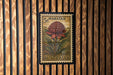 A 5d Waratah stamp from Australia, featuring a large red flower against a wooden background.