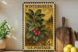 A vintage-style postage stamp depicting a plant with red berries, placed on a shelf next to a wooden cutting board and some potted plants.