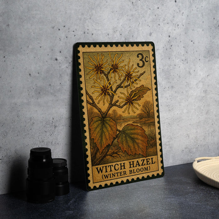 A vintage-style postage stamp featuring a witch hazel plant, with the text "Witch Hazel (Winter Bloom)" printed on it.