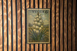 A vintage postage stamp featuring a detailed illustration of a flower on a wooden background.