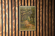 A vintage US postage stamp from South Carolina, featuring a scenic road lined with trees and a path leading through the wooded area.