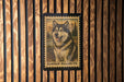 A framed image of a husky dog, likely an Alaskan Malamute, is displayed on a wooden wall.