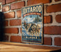A vintage-style metal sign for the Iditarod National Historic Trail in Alaska, featuring a sled dog team and the text "Iditarod" and "Alaska".
