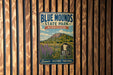 A vintage metal sign for Blue Mounds State Park in Minnesota, featuring a scenic landscape with mountains, wildflowers, and a pine tree.