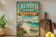 A vintage-style sign for Caladesi Island, Florida, featuring a blue heron and a beach scene, with a wooden paddle and a lemon on a shelf in the foreground.