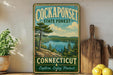 A vintage-style metal sign for the Connecticut State Forest, featuring a scenic landscape with a lake and pine trees, is displayed on a shelf next to a wooden cutting board and some potted plants.