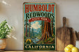 A vintage-style sign for Humboldt Redwoods State Park in California, featuring a scenic illustration of the park's iconic redwood trees and a river.