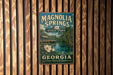 A vintage metal sign for Magnolia Springs State Park in Georgia, featuring a scenic illustration of the park's natural surroundings.