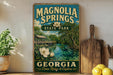 A vintage-style sign for Magnolia Springs State Park in Georgia, featuring a scenic illustration of the park's natural surroundings.