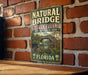 A vintage metal sign for Natural Bridge Battlefield Historic State Park in Florida, featuring a scenic illustration of the park and a Florida state flag.
