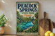 A vintage-style poster advertising the "Peacock Springs State Park, Florida" featuring a peacock standing on a rock overlooking a body of water.